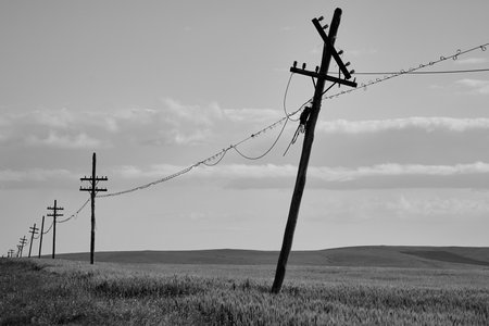 telegraph poles through which landline telephones are carried