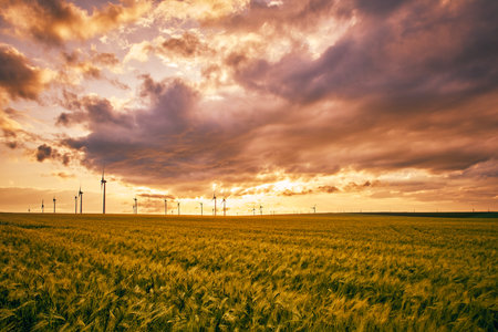 wind farms in Dobrogea in the warm sunlightの写真素材