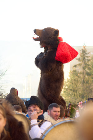 the festival of winter customs and traditions from Comanesti, Bear Dance, Bacau, Romaniaの写真素材