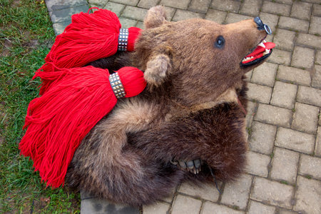 the festival of winter customs and traditions from Comanesti, Bear Dance, Bacau, Romaniaの写真素材