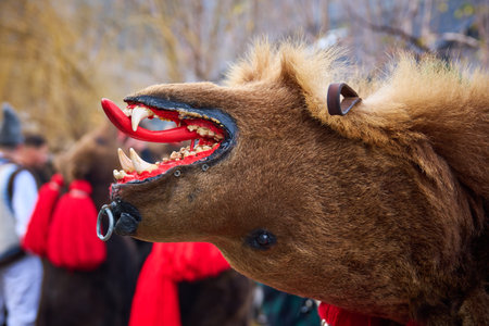 the festival of winter customs and traditions from Comanesti, Bacau, Romaniaの写真素材