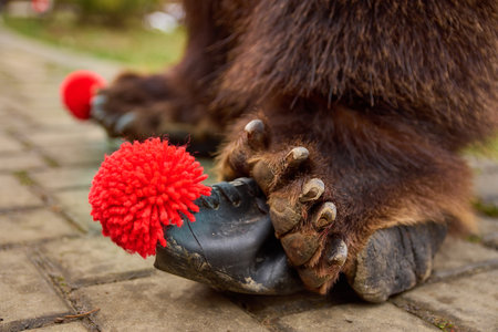 the festival of winter customs and traditions from Comanesti, Bear Dance, Bacau, Romaniaの写真素材