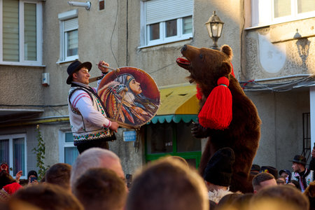 the festival of winter customs and traditions from Comanesti, Bear Dance, Bacau, Romaniaの写真素材