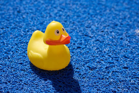 plastic duck on the blue carpet at the poolの写真素材