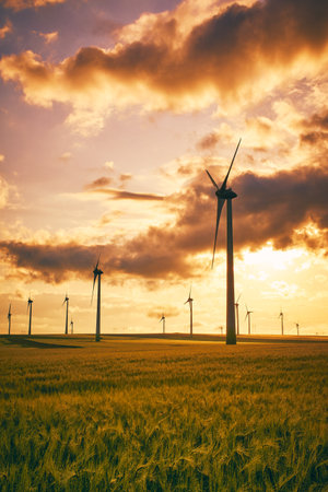 wind farms in Dobrogea in the warm sunlight