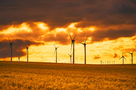 wind farms in Dobrogea in the warm sunlightの写真素材