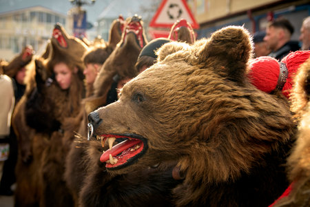 People dancing dressed in bearskin and folk costumes at the Comanesti Customs and Traditions Festival on December 30, 2025のeditorial素材