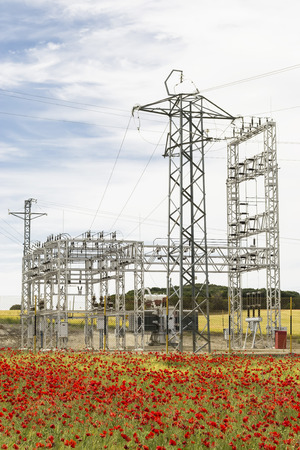 Electrical equipment of a power station in the middle of a poppies fieldの写真素材