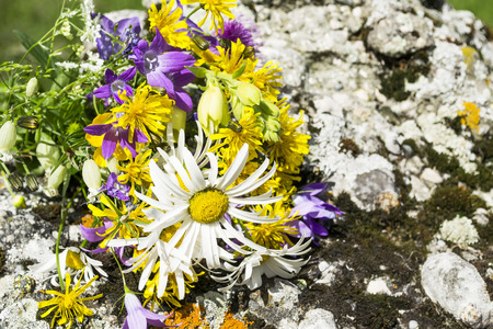 Different species of flowers from the temperate climate , gathered in a bouquet on the surface of a rockの写真素材