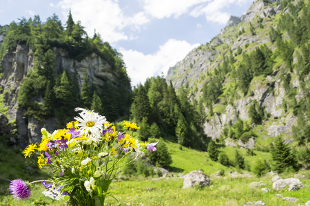 Hand picked wild flowers bouquet with mountain valley backgroundの写真素材