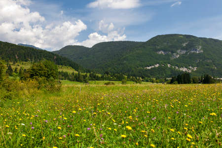 Mountain viewの写真素材