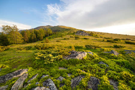Mountain view