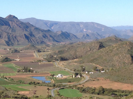 Vineyards winter in the Koo Valleyの素材