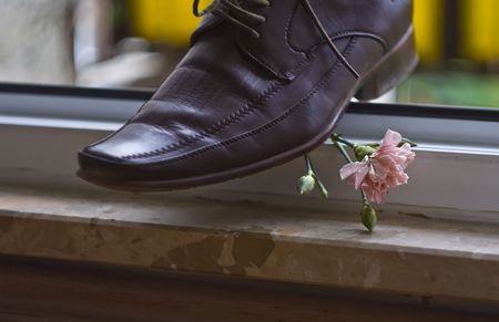 the flower below the shoeの写真素材