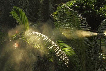 Morning irrigation sprinkler working in botanic gardenの写真素材