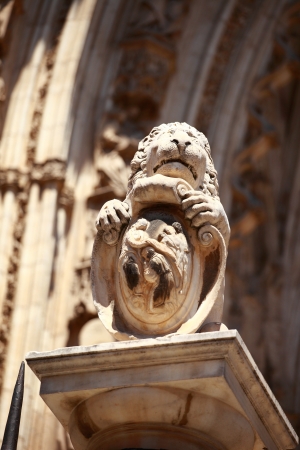 Statue of the Cathedral of Toledo, Spain の写真素材