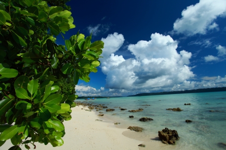 Blue sky and clouds in Havelock island. Andaman islands, Indiaの写真素材