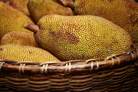Large jack fruit with large spikes at market in Indiaの写真素材