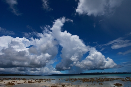 Havelock island beach blue sky with white clouds, Andaman islands - India の写真素材