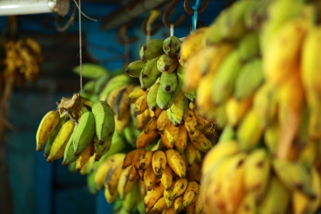 Tropical bananas in local bazaar in India.の写真素材