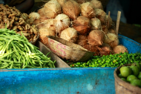 Tasty organic coconuts at local market in Indiaの写真素材