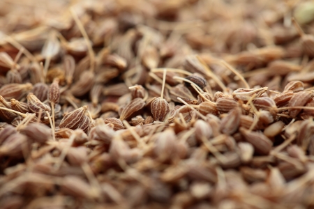 Dried herbs in macroの写真素材