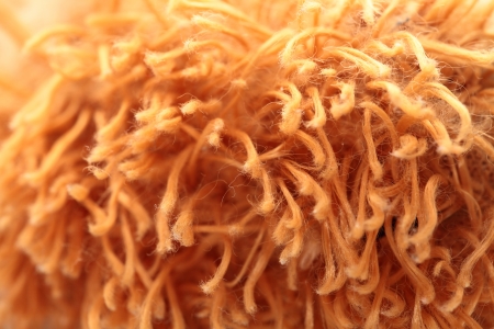 artificial fur textures