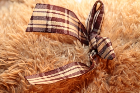 Satin bow on brown  bearの写真素材