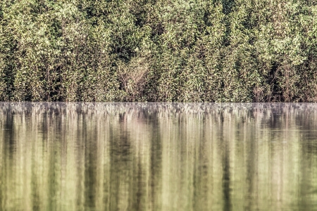 Amazon river in morning ( HDR image )の写真素材