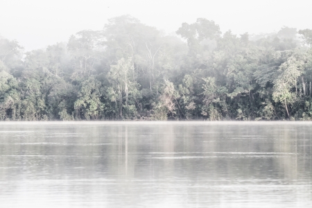 Amazon river in morning ( HDR image )の写真素材