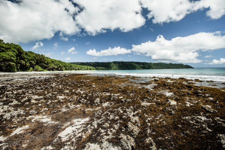 Tropical island of Havelock in Andaman, India. ( HDR image )の写真素材