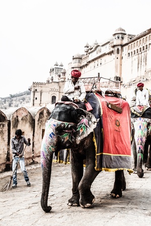 India, Rajasthan, Jaipur, the Amber Fort, elephant driver ( HDR image )のeditorial素材