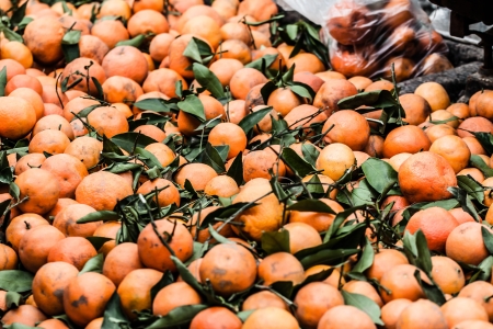Local old morrocan market  ( HDR image )の写真素材