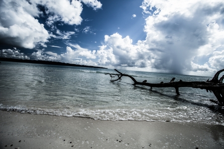 Transparent sea water and blue sky with clouds の写真素材