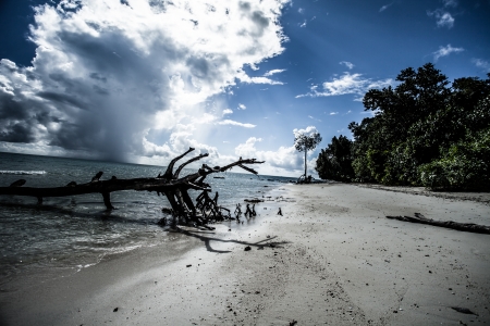 Transparent sea water and blue sky with clouds の写真素材