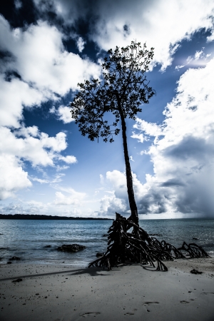 Transparent sea water and blue sky with clouds  