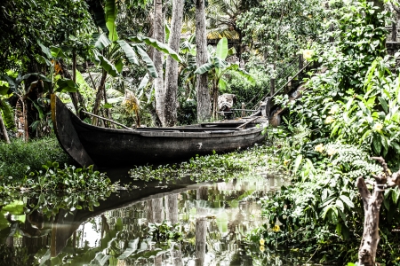 House boat in backwaters near palms in Alappuzha, Kerala, India ( HDR image )の写真素材