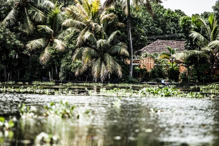 House boat in backwaters near palms in Alappuzha, Kerala, India ( HDR image )の写真素材