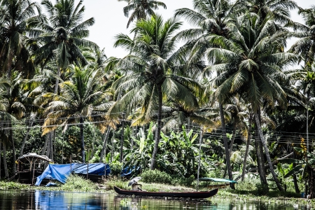 House boat in backwaters near palms in Alappuzha, Kerala, India ( HDR image )の写真素材
