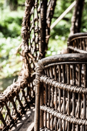 House boat in backwater in alappuzha, Kerala, India ( HDR image )の写真素材