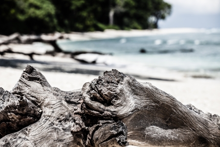 Landscape photo of tranquil island beach の写真素材