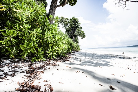 Landscape photo of tranquil island beach の写真素材