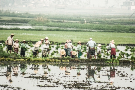 Typical landscape in Myanmarのeditorial素材