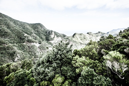Beautiful valley in Anaga mountain range, Tenerife, Canary islands, Spain ( HDR image )