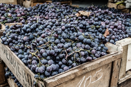 Close up of grapes on market stand in Chile の写真素材