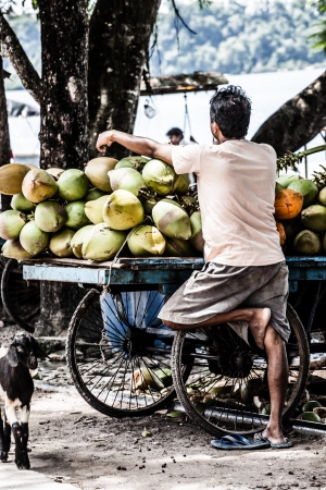 Coconuts heap, food market Indiaの写真素材