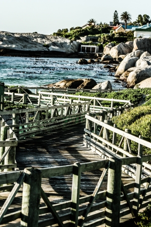 Boulders Beach, Cape Town South Africa の写真素材