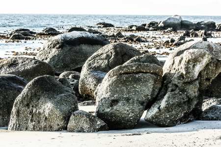 Boulders Beach, Cape Town South Africa の写真素材