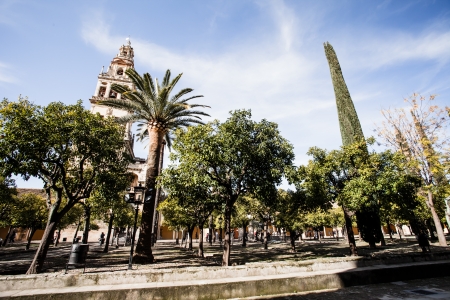 Mezquita (Mosque)/Cathedral bell tower, Cordoba, Cordoba Province, Andalusia, Spain, Western Europe. の写真素材