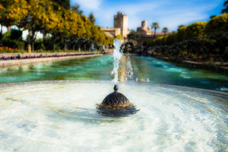 Gardens at the Alcazar de los Reyes Cristianos in Cordoba, Spainの写真素材